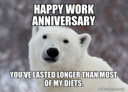 Popular Opinion Polar Bear