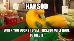 Gourd Advice Mallard