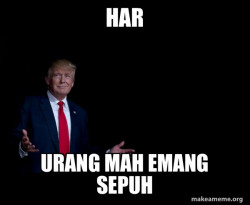 Trump Everything is FIne