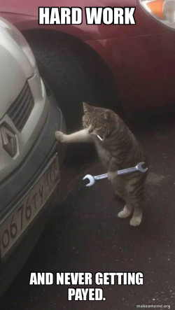 Mechanic Cat