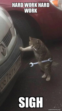 Mechanic Cat