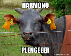 Hairless Cow
