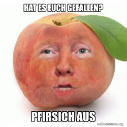 Impeached Donald Trump