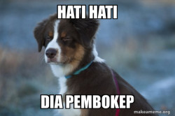 Unsure Dog