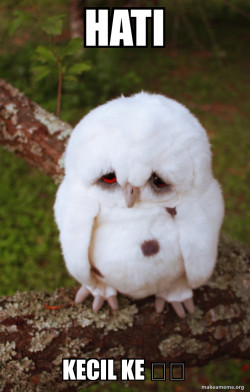 Sad Owl
