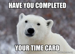 Popular Opinion Polar Bear
