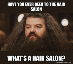 Hagrid - I should not have said that
