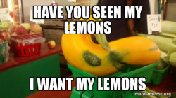 Gourd Advice Mallard