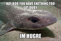 Dirty Joke Dogfish