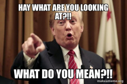 Hay you!