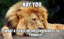 Confession Lion