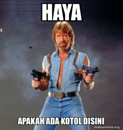 Chuck Norris