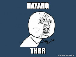 Y U No