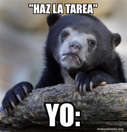 Confession Bear