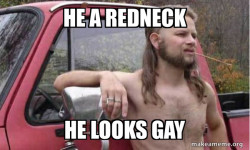 Almost Politically Correct Redneck