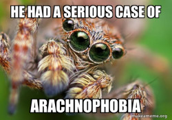 cute spider
