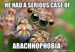 Hipster Spider