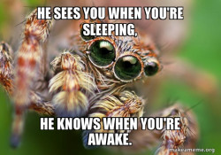 Hipster Spider