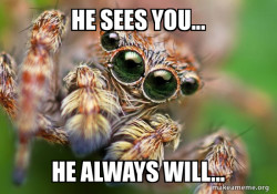 Hipster Spider
