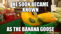 Gourd Advice Mallard