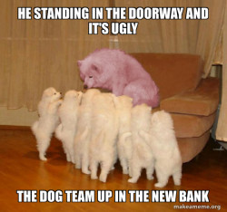  Dog In The Bank Nest
