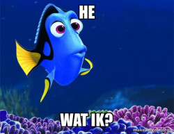Dory from Nemo  (5 second memory)