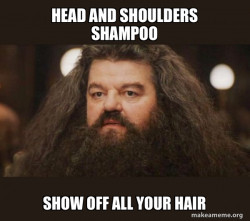 Hagrid - I should not have said that