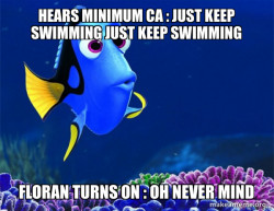Dory from Nemo  (5 second memory)