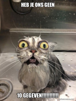 Cat bath