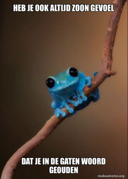 Small Fact Frog