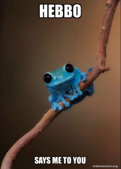 Small Fact Frog