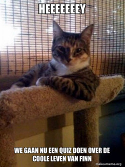 The Most Interesting Cat in the World