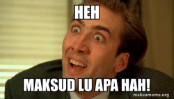 Sarcastic Nicholas Cage