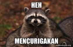 Evil Plotting Raccoon
