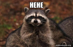 Evil Plotting Raccoon