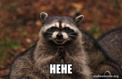 Evil Plotting Raccoon