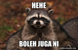 Evil Plotting Raccoon