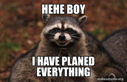 Evil Plotting Raccoon
