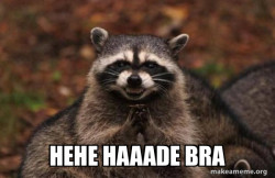 Evil Plotting Raccoon