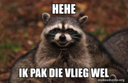 Evil Plotting Raccoon