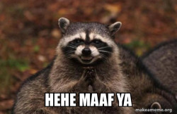 Evil Plotting Raccoon