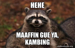 Evil Plotting Raccoon