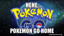 Pokemon Go
