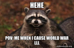 Evil Plotting Raccoon