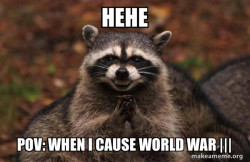 Evil Plotting Raccoon