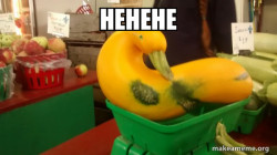 Gourd Advice Mallard