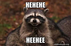 Evil Plotting Raccoon
