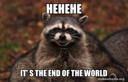 Evil Plotting Raccoon