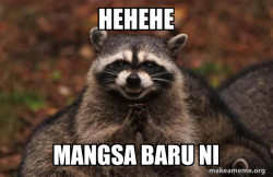 Evil Plotting Raccoon