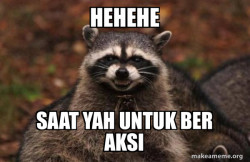 Evil Plotting Raccoon